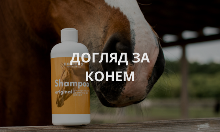 догляд за конем